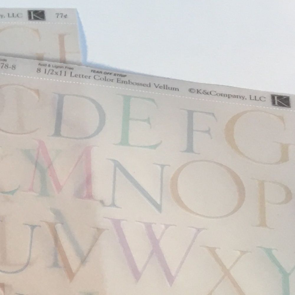 GORGEOUS HAND Selected Set of Scrapbook Paper! - Picture 11 of 12